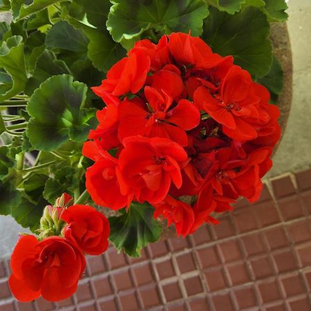 Corte Martinola Bed&Breakfast In Franciacorta 오메 외부 사진
