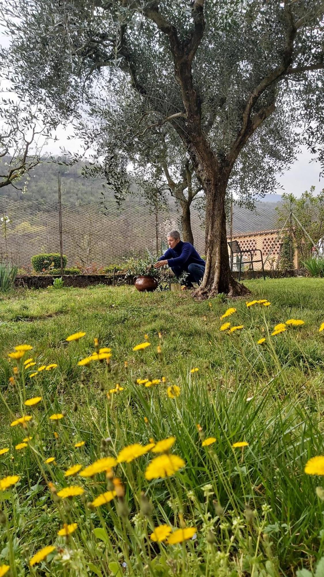 Corte Martinola Bed&Breakfast In Franciacorta 오메 외부 사진